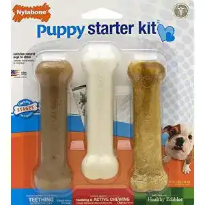 Welpenspielzeug Nylabone Kauspielzeug für Welpen Starter Kit