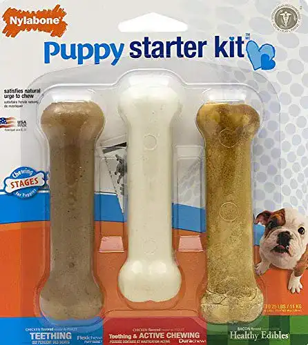 Welpenspielzeug Nylabone Kauspielzeug für Welpen Starter Kit