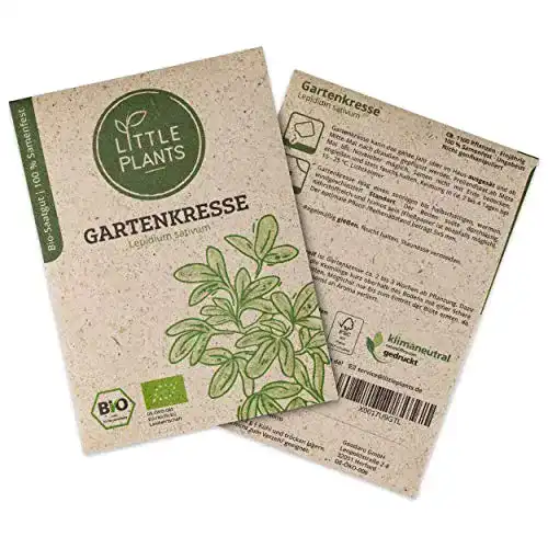 Kressesamen Little Plants BIO-Garten Lepidium sativum
