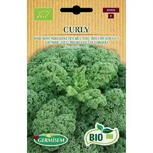 Grünkohl-Samen Germisem Grünkohl CURLY