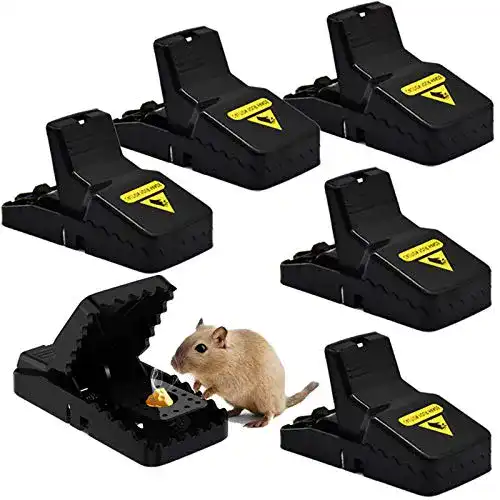Mausefalle Schlagfalle Todoxi Mausefalle, 6er Set Profi