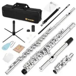 Querflöte vangoa C Flöte 16 geschlossen Löcher Instrument