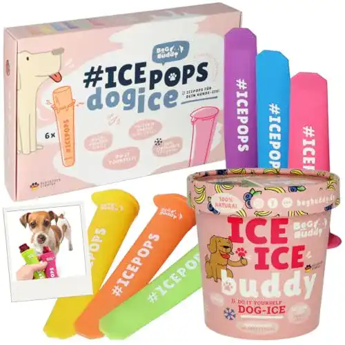 Hundeeis BeG Buddy Starter-Kit , [ohne Zuckerzusatz], EIS für Hunde