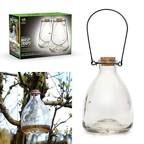 Wespenfalle CKB Ltd 2er Set Wasp Catcher Trap Wespenfänger Glas