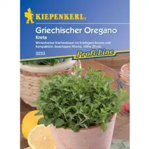 Oregano-Samen Sperli Gemüsesamen Oregano Kreta, grün