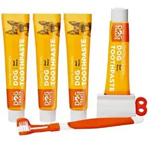 Hundezahnpasta Natural Dog Treats Set für Hunde