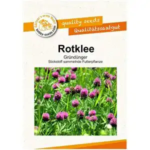 Rotklee-Samen Gärtner’s erste Wahl! bobby-seeds.com Bodenkur