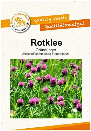 Rotklee-Samen Gärtner’s erste Wahl! bobby-seeds.com Bodenkur