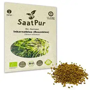 Inkarnatklee SaatPur Rosenklee BIO Keimsprossen von – Sprossen