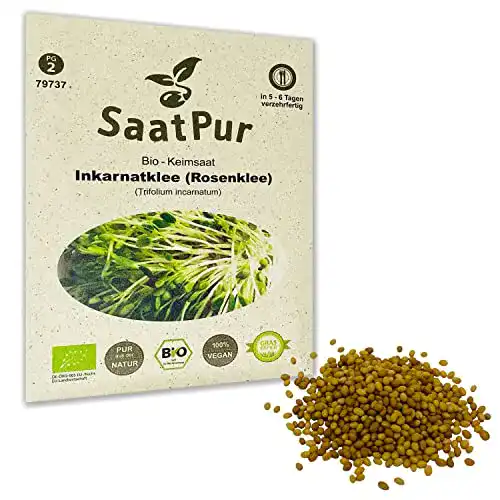 Inkarnatklee SaatPur Rosenklee BIO Keimsprossen von – Sprossen