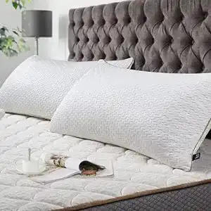 Bambus-Kissen BedStory Kopfkissen 40×80 2er Set