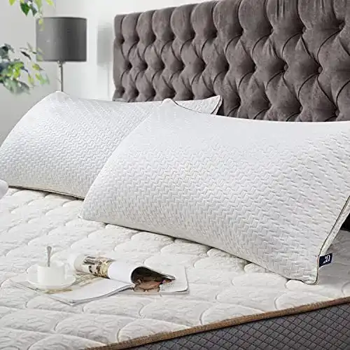 Bambus-Kissen BedStory Kopfkissen 40×80 2er Set