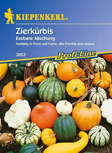 Zierkürbis-Samen Kiepenkerl , Zierkürbis, Cucurbita pepo essbar