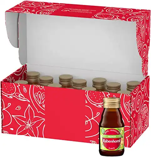 Ingwer-Shot Rabenhorst Ingwer-Mate BIO Shot, 14er Pack
