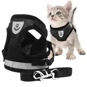 Katzengeschirr Kitten Toulifly Katzengeschirr und Leine Set