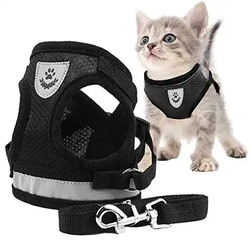 Die beste Katzengeschirr Kitten Toulifly Katzengeschirr und Leine Set 2026 Test Bestseller Katzengeschirr Kitten Toulifly Katzengeschirr und Leine Set