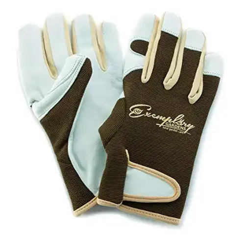 Gartenhandschuhe Exemplary Gardens Leder für Damen und Herren