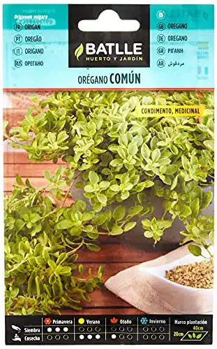 Oregano-Samen Batlle Kräutersamen, Oregano