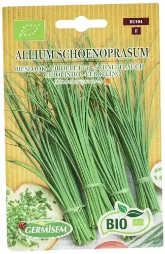 Schnittlauch-Samen Germisem Schnittlauch, ECBIO1104