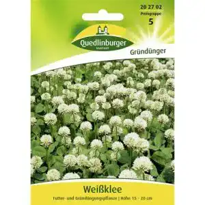 Kleesamen Quedlinburger Saatgut Weißklee Samen