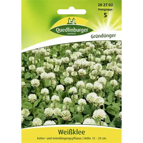 Kleesamen Quedlinburger Saatgut Weißklee Samen