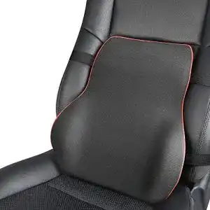 Lordosenstütze EASY EAGLE Memory Foam
