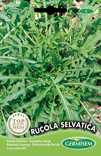 Rucola-Samen Germisem Rucola SELVATICA, mehrfarbig, EC7002