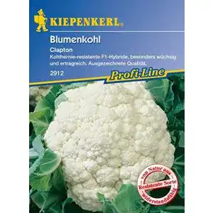 Blumenkohl-Samen Kiepenkerl, Blumenkohl Clapton F1