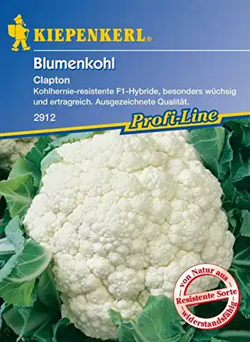 Blumenkohl-Samen Kiepenkerl, Blumenkohl Clapton F1
