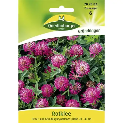 Kleesamen Quedlinburger Rotklee