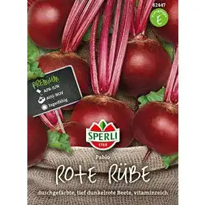 Rote-Beete-Samen Sperli 82447 Premium Rote Bete Samen Pablo