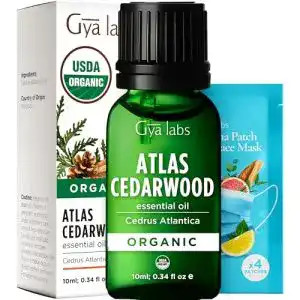 Zedernöl Gya Labs Ätherisches Atlas-Zedernholz-Öl 10 ml