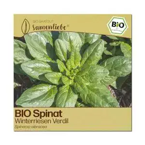 Wintergemüse-Samen Samenliebe BIO Spinat Samen