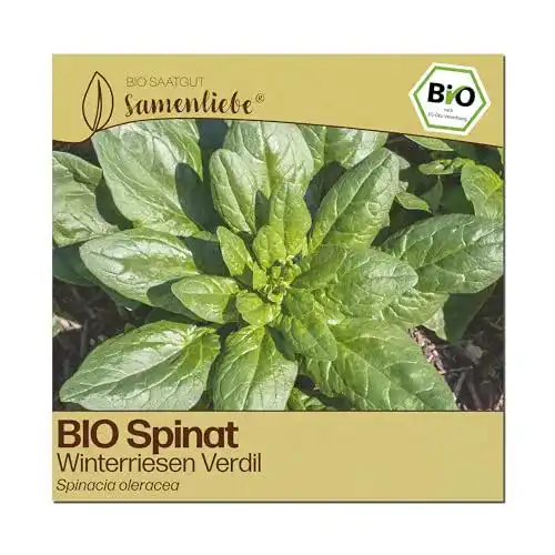 Spinat-Samen Samenliebe BIO Spinat Samen Winterriesen