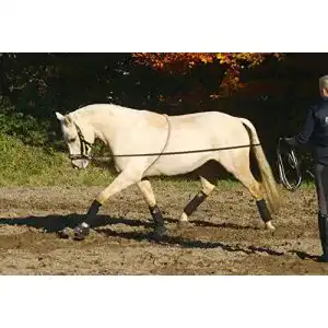 Longierhilfe Busse COTTON, M, natur, natur