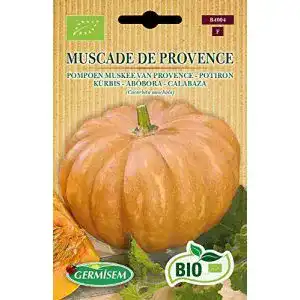 Kürbis-Samen Germisem Kürbis MUSCADE DE PROVENCE