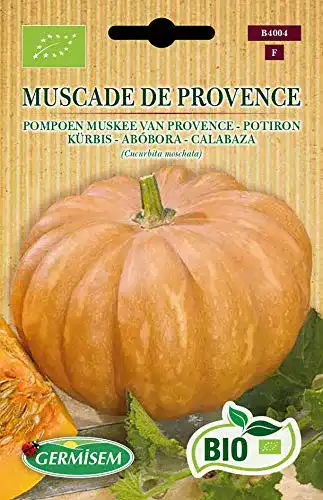 Kürbis-Samen Germisem Kürbis MUSCADE DE PROVENCE
