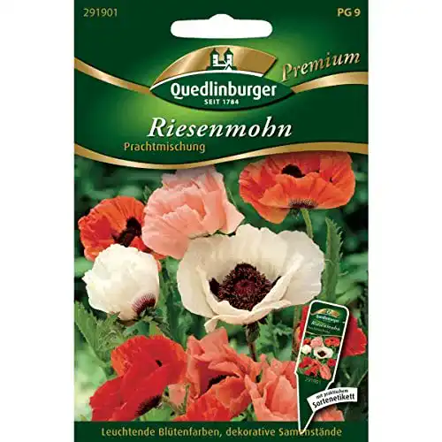 Mohn-Samen Quedlinburger Riesenmohn Türkischer Mohn