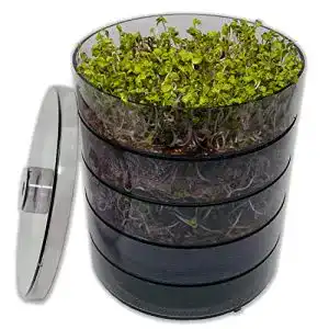 Keimsprossenbox SaatPur ® Set 4 mit vier Etagen
