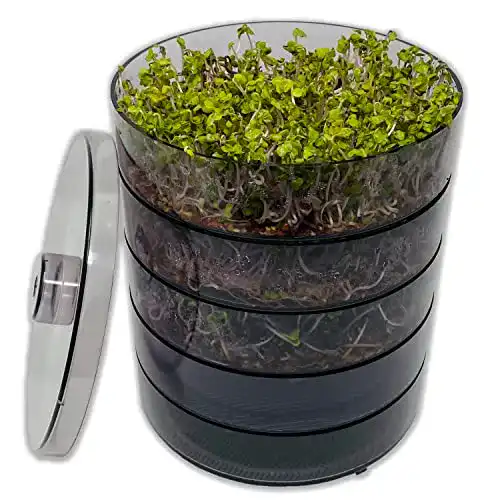 Keimsprossenbox SaatPur ® Set 4 mit vier Etagen