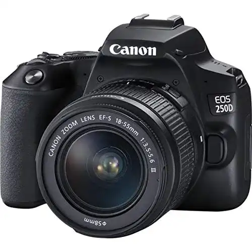 Canon-Kompaktkamera Canon EOS 250D Digital mit Objektiv EF-S