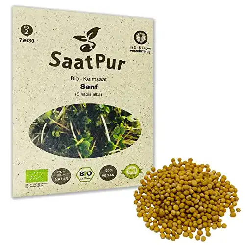 Senf-Samen SaatPur Senf Mustard BIO Keimsprossen, 50g