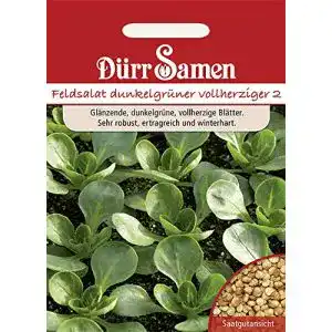 Wintergemüse-Samen Dürr-Samen Feldsalat dunkelgrün vollherzig