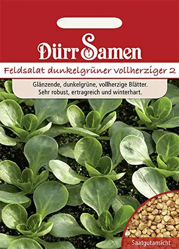 Wintergemüse-Samen Dürr-Samen Feldsalat dunkelgrün vollherzig