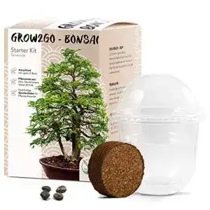 Bonsai-Starter-Kit HappySeed GROW2GO Bonsai Starter Kit