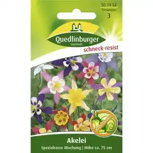 Akelei-Samen Quedlinburger Akelei, Spezialrasse Mischung