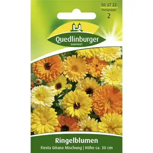 Ringelblumen-Samen Quedlinburger Ringelblume, Fiesta Gitana