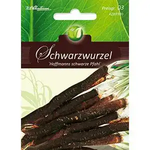 Schwarzwurzelsamen N.L.Chrestensen Hoffmanns schwarze Pfahl