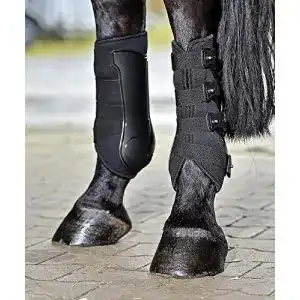 Dressurgamasche Busse Gamaschen DRESSAGE-PRO