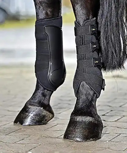 Dressurgamasche Busse Gamaschen DRESSAGE-PRO